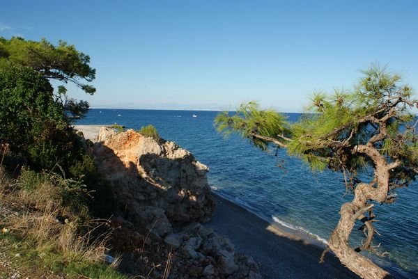 Евгений Овчинников