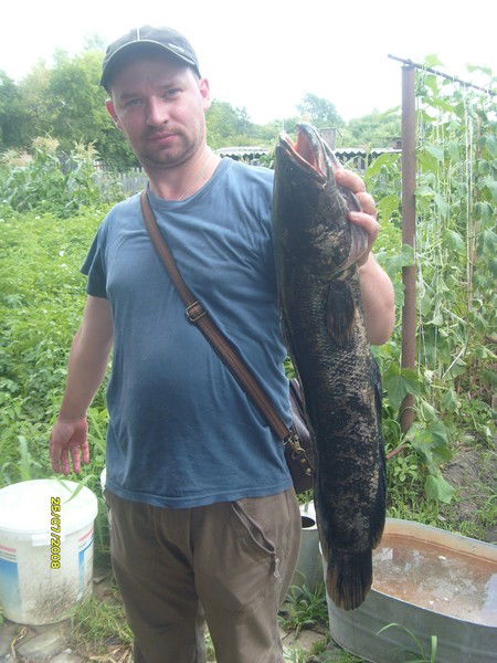 Алексей Шевцов