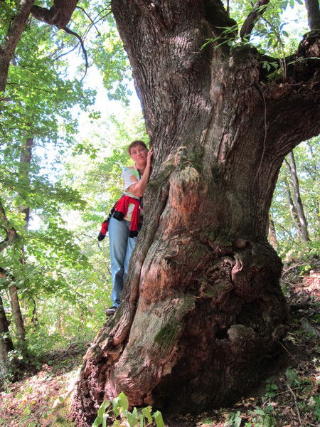 Наталья Суханова