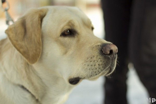 Сергей Лепкин