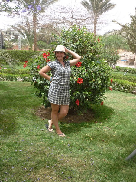 Елена Бровина