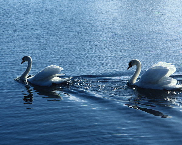 Нажиматдин Пахратдинов