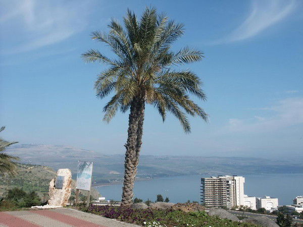 Елена Щетина