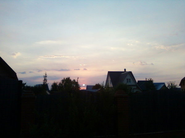 Елена Белоусова