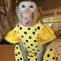 Виктория Эсаулова