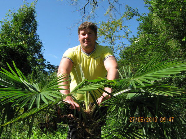 Колесников Александр