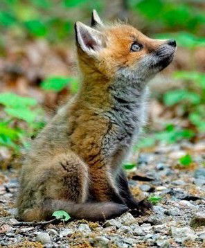 Сергей Иванов