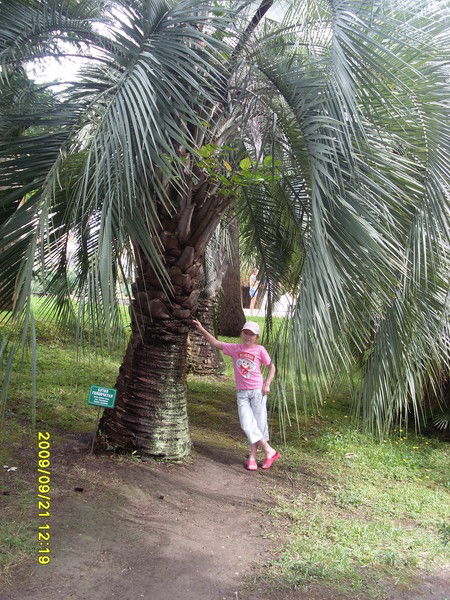 Диана Новикова