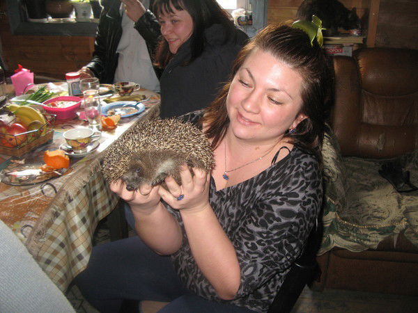 Ирина Андреенко