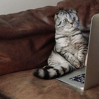 Анна Скворцова