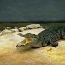 Александр Турпаков