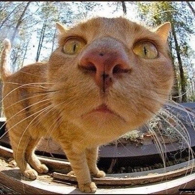 Иван Ермаков