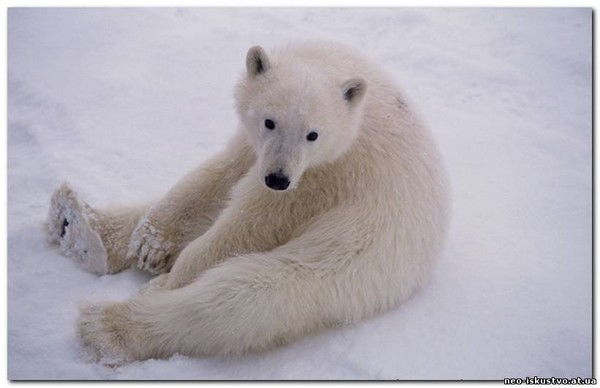 Сергей Матвейчук