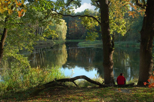 Вера Зырянова