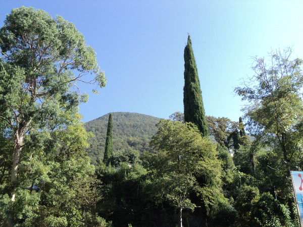 Галина Каменчук