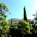 Галина Каменчук