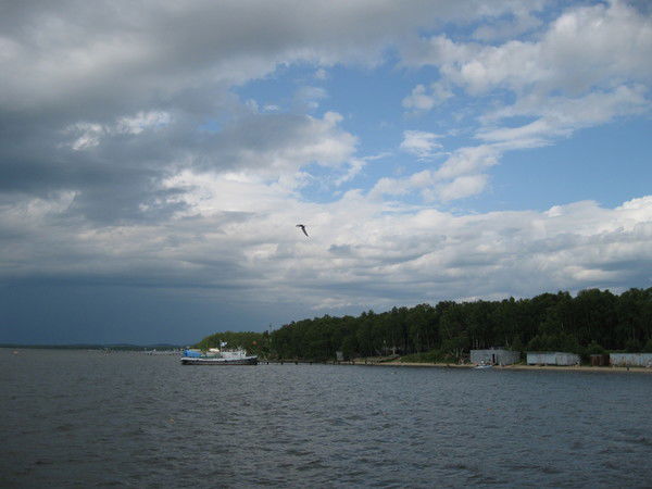 Светлана Светикова