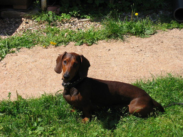 Светлана Козеленкова