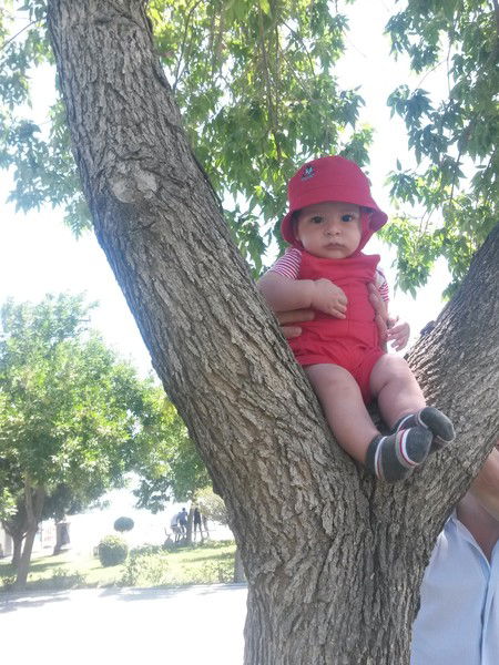 Эльшан Гулиев