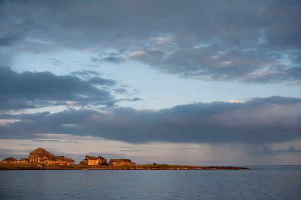 Ольга Елесеева