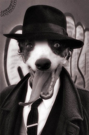 Юрий Трушинский