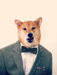 Екатерина Каменских