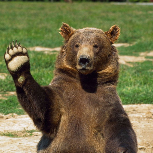 Михаил Горяинов