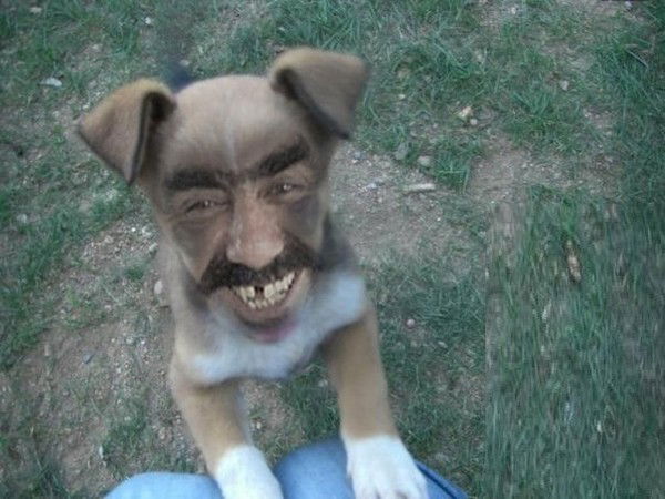 Дмитрий Лавров