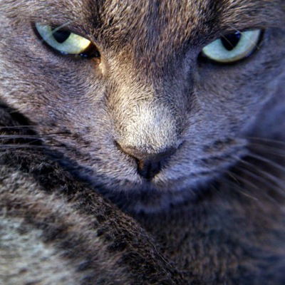 Ахтем Сейтумеров