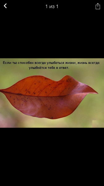 Гульмира Жабыкбаева