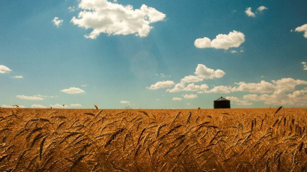 Алексей Атланов