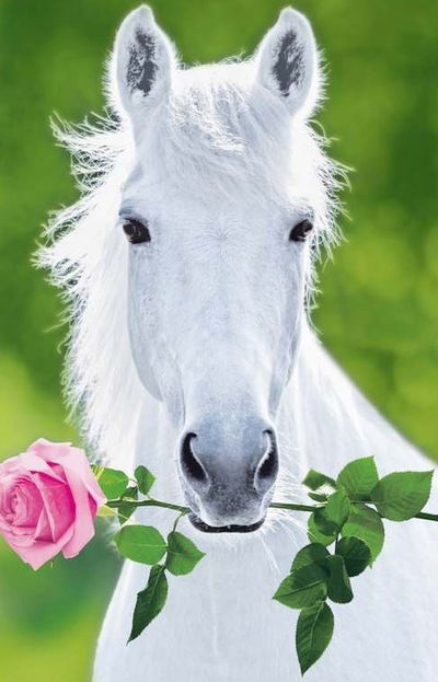 Ольга Титова