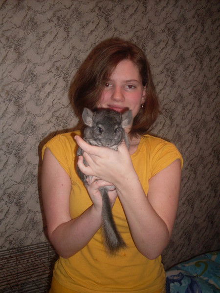 ?????? ??????????????