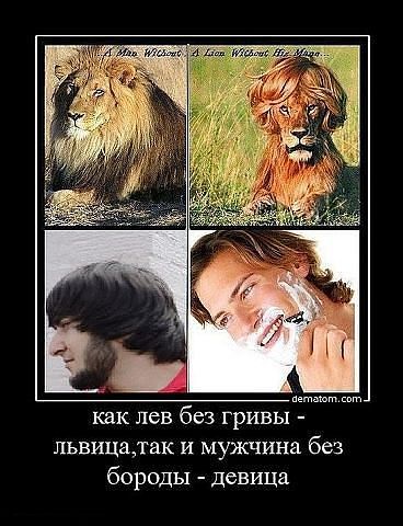 Мехрубон Мехрубон