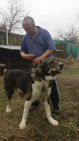 Ришат Бакиев