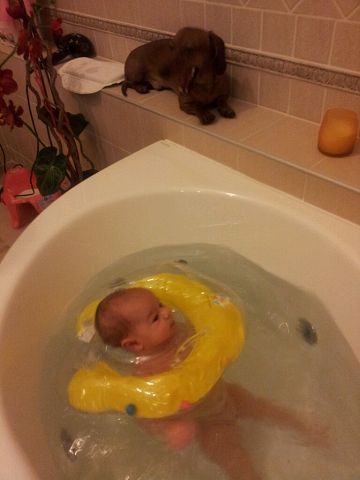 Кристина Майер