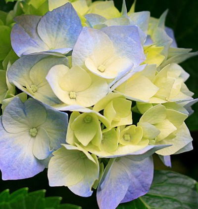 Игорь Мельников