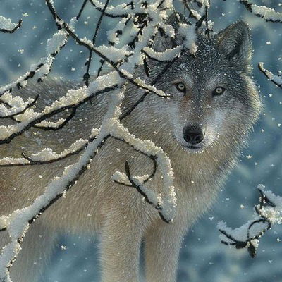 Лилия Мухаметова