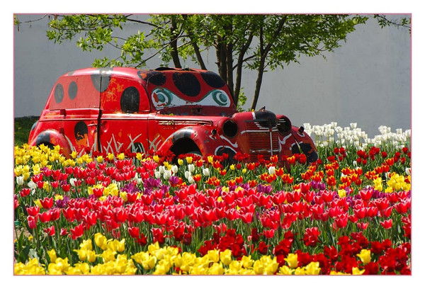 Оля Савенко