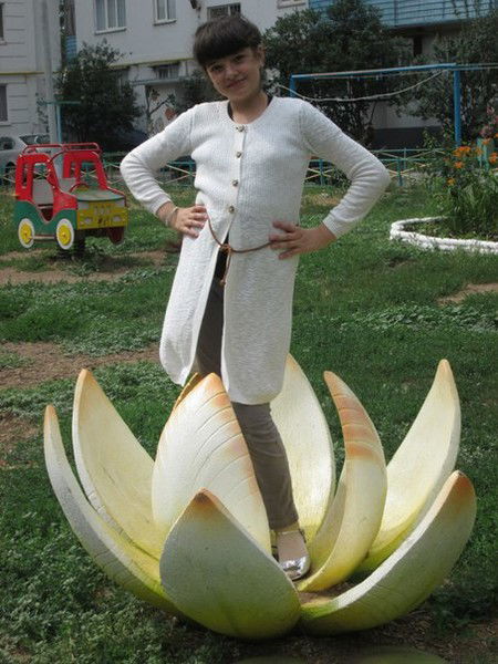 Мария Жёлтая