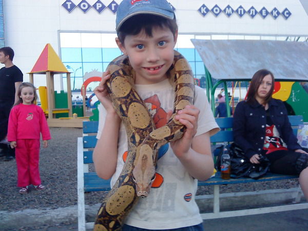 Вова Фролов