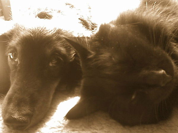 Анна Кузькина