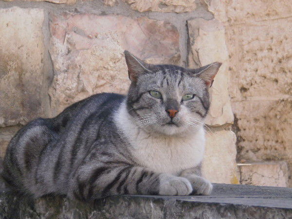 Лилия Риммер