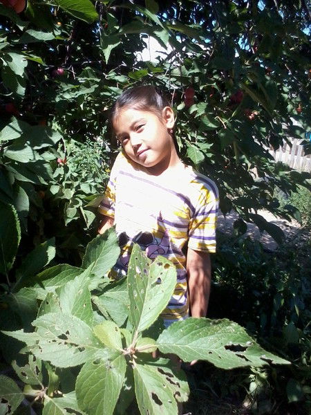 Асима Токтарбаева