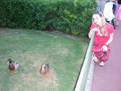 Лина Ильенко