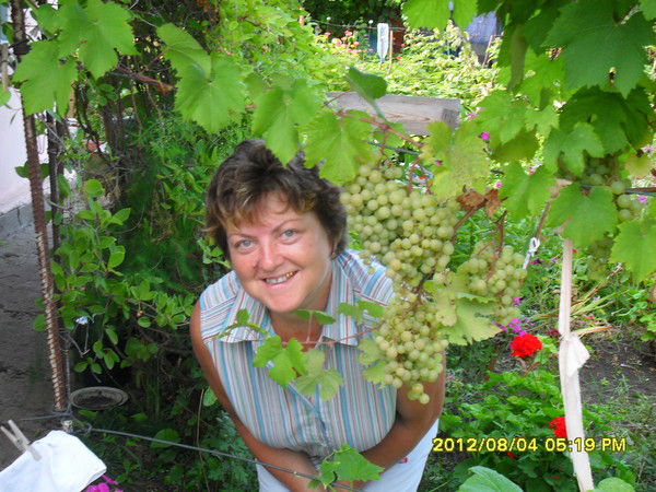 Надежда Добродий