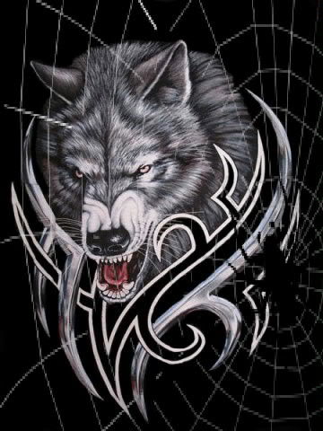 Вячеслав Котов