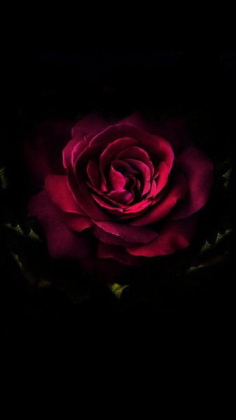 Татьяна Щербакова