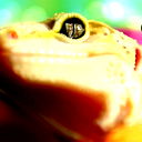 Happy Gecko Farm