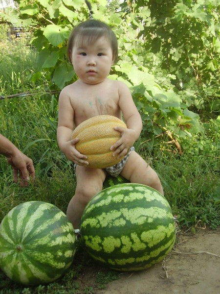 Аселя Куанышева